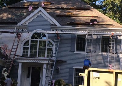 Professional Roofing